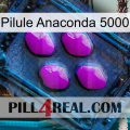 Anaconda 5000 Pill 04
